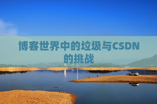 博客世界中的垃圾与CSDN的挑战